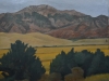 wheat-mountains
