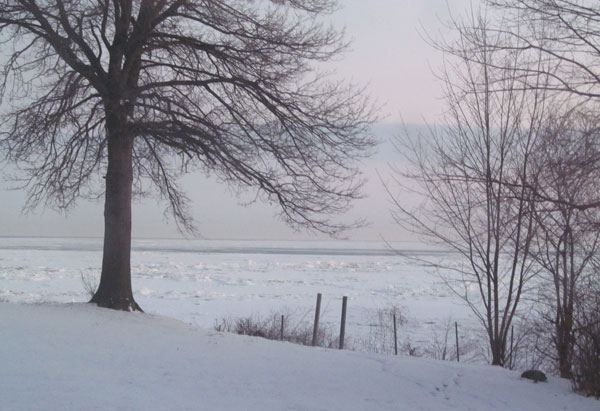 Frozen Lake Erie Seen From the Studio 2