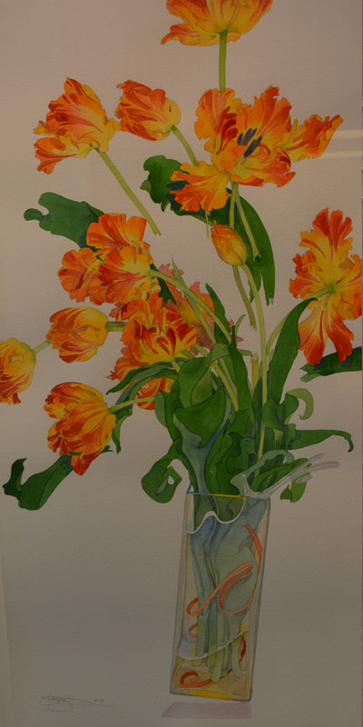 Bukovnik Watercolor