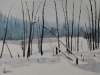frozen-pond