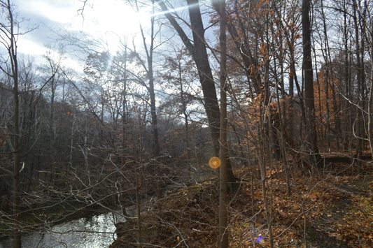 Schoepfle Garden photo session