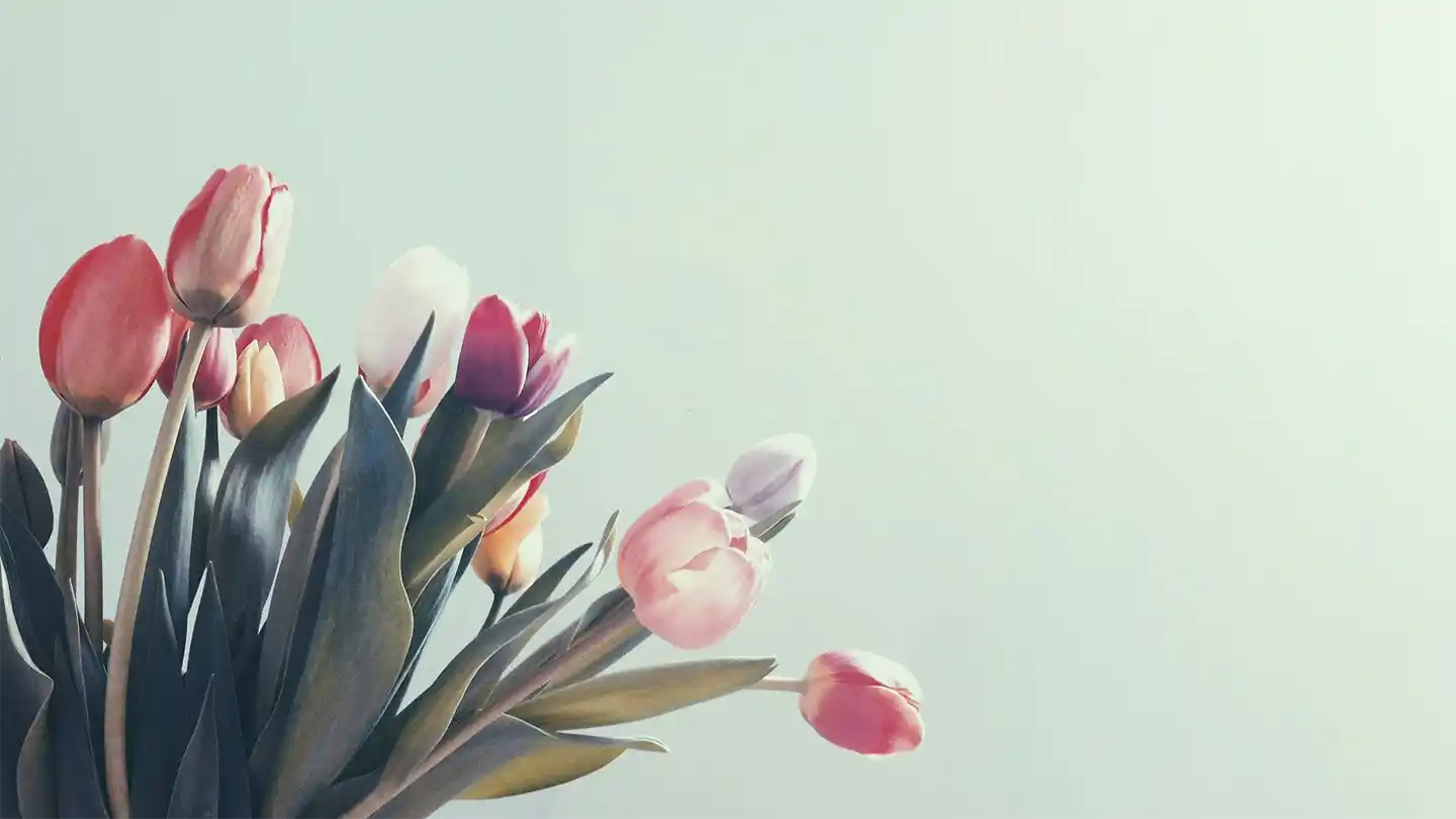 Fresh Tulip Inspirations