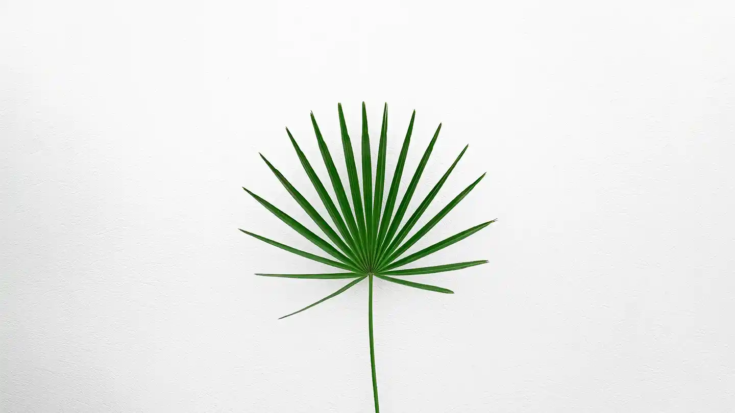 Minimal Leaf Statement